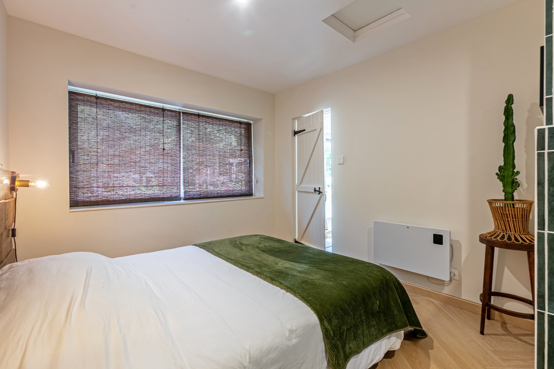 Green bedroom with bamboo blinds and a cactus