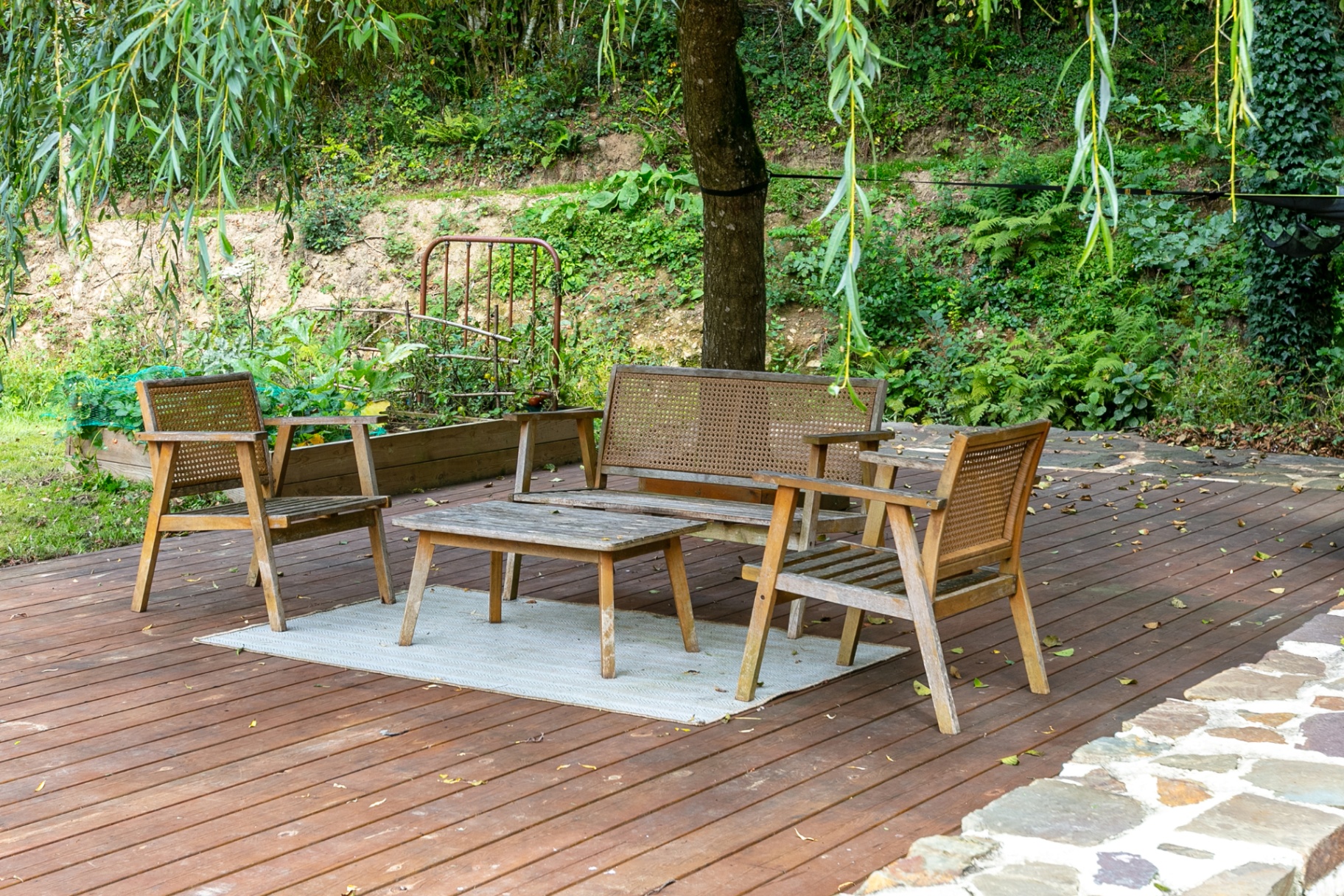 Cane chairs on the deck under the willow by the vegetable beds