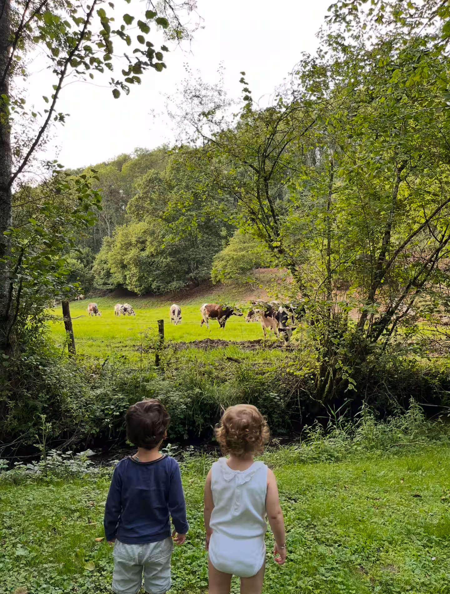 Two children looking out over a green field with grazing cows