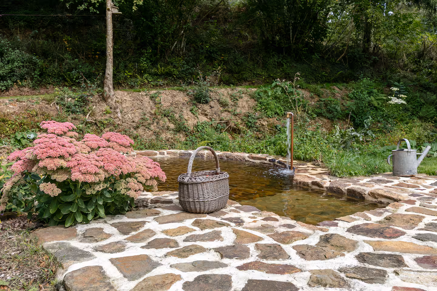 Natural swimming pool with stone surround, flowers and a metal ladder